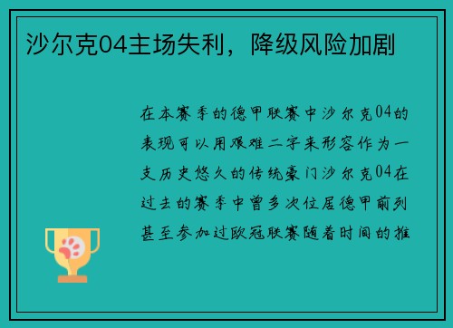 沙尔克04主场失利，降级风险加剧